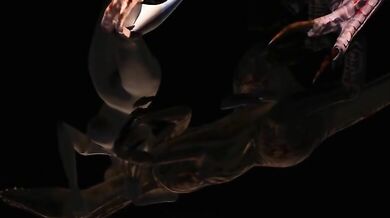 Write a short story with the following prompt: The night was as black as coal, yet she could see everything in the darkness