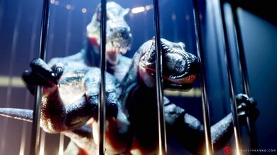 One T-Rex, one X-Raptor and a Tails Up for Tyranno