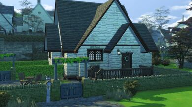 'Auntie's Animalistic Adventure'