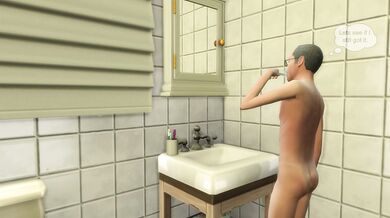 'Auntie's Animalistic Adventure'