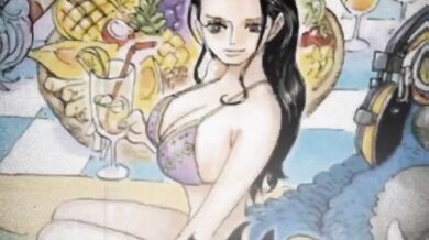 "Nico and Robin Wake up Lil Bro - PMV/Edit [Image]"