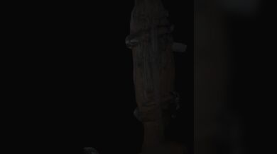 The Hentai Vault: Anal Intruder with Honoka (revised)