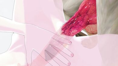 Watch this full length adult movie about a man who stumbles upon a beach dog encounter that will leave you breathless!