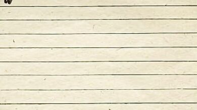 'Sexy Maid's Cleaning & Fun Time with Foxy'.