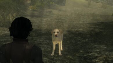 Rewritten as: "A Daedric Master's Best Friend, Part One"
