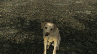 Rewritten as: "A Daedric Master's Best Friend, Part One"