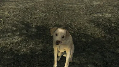 Rewritten as: "A Daedric Master's Best Friend, Part One"
