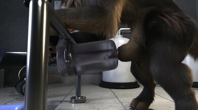 This is not a valid Pornhub username or email address Please try again with a correct format