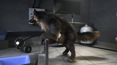 This is not a valid Pornhub username or email address Please try again with a correct format