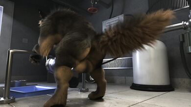 This is not a valid Pornhub username or email address Please try again with a correct format