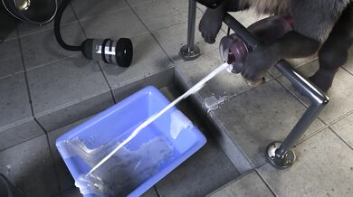 This is not a valid Pornhub username or email address Please try again with a correct format