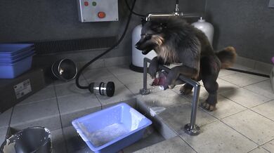 This is not a valid Pornhub username or email address Please try again with a correct format