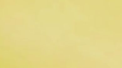 El Sharko Diablo POV Animation Farts