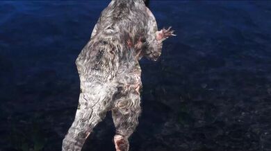 The Rough and Tough of Riften - CHRS