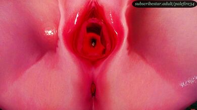 In a post-apocalyptic world, two YoRHa androids are sent to investigate reports of an alien monster birth on the surface