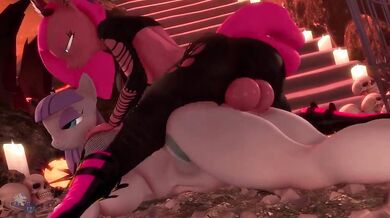 One Night with the Stallion: A Racy Romp Through The Stable