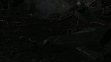 Black(NWO) The Multiverse HMV