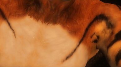 The Season of Loves Thorns