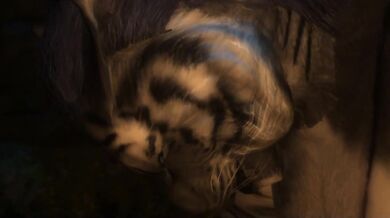 The Season of Loves Thorns