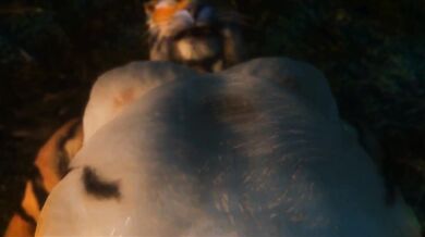 The Season of Loves Thorns