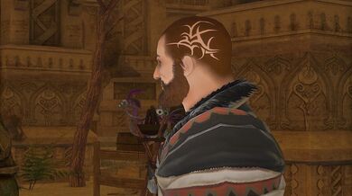 ----------------------