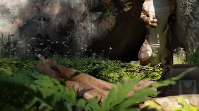 Valley of joined hearts