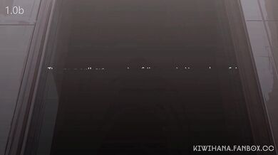 A Night of Cultural Exchange