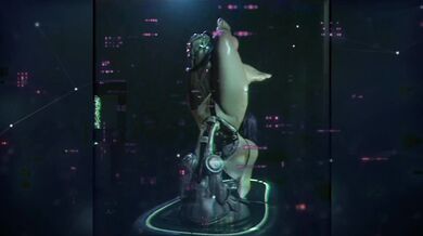 The Real Deal: Taking It to the Next Level