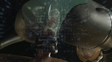 The Real Deal: Taking It to the Next Level