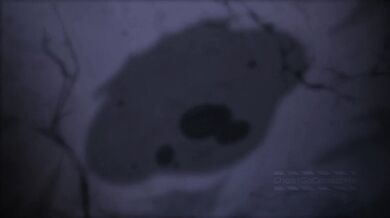 The Village of Heisenberg where everything is not what it seems, and even the ghosts wear censor bars over their private parts