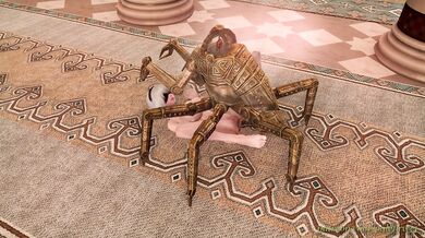 2B Ridden Hard by a Sexual Powerhouse