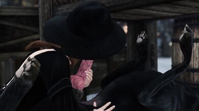 Hey, sexy! Do you want to have a quickie with my dog in public?