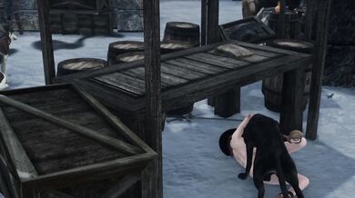 Hey, sexy! Do you want to have a quickie with my dog in public?