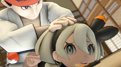 Pokemon - Beas Dojo Incident