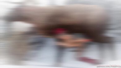 A Very Special Christmas 2021 - Dear Reindeer