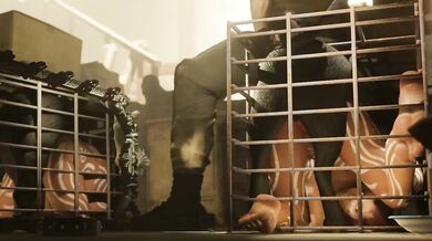 The Sheva and Panther Two hot and wild animals, ready to satisfy your every desire