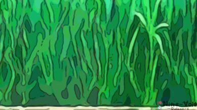 Write a haiku about the ocean