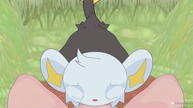 My Pussy is a Shinx Breeding Ground or Fucking My Pussy Like A Shinx Breeder or Sex with Me and My Shinx Bred Pussy