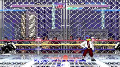 Falcon punches the fury of Mugen Bowser