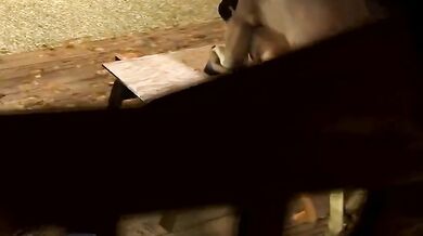 The Naughty Stables: Liza Snow Fucks a Horse