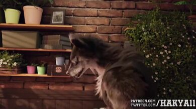 Buuny and The Wolf: A Sensual Affair