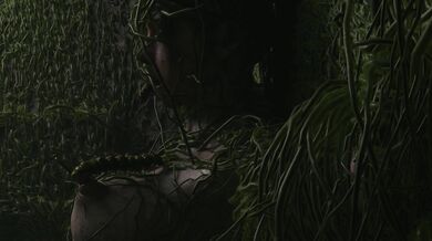 Claires Invasive Body: Impregnated by Parasites (no W/M)