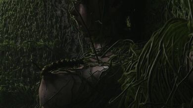 Claires Invasive Body: Impregnated by Parasites (no W/M)