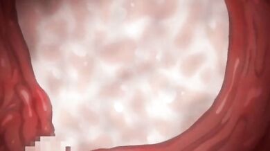 Transformers XXX: Gridman and Rikkas Hentai Adventure