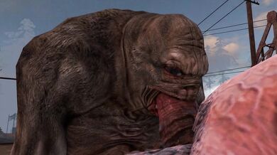 Pure Love - Librarian Checking in a Castus Heo