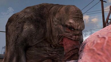 Pure Love - Librarian Checking in a Castus Heo