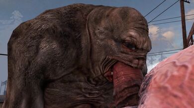 Pure Love - Librarian Checking in a Castus Heo