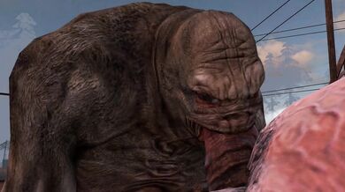 Pure Love - Librarian Checking in a Castus Heo