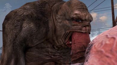 Pure Love - Librarian Checking in a Castus Heo