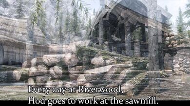 Skyrim: When my husband is at work, I let out my inner dragon and fuck anything that moves!